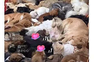 揭秘一个月入10000的暴利赚钱野路子