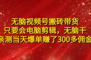 无脑视频号搬砖带货,只要会电脑剪辑,亲测当天爆单赚了300多佣金