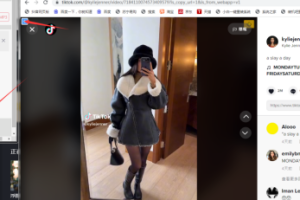 tk去水印批量采集-2023最新版