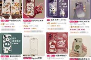 低成本副业卖手机壳项目思路，做的好轻轻松松年入10W，玩法无私分享给你！