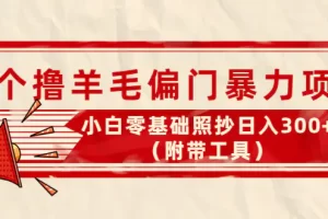外面卖998的三个撸羊毛偏门暴力项目，小白零基础照抄日入300+（附带工具）