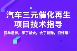 汽车三元催化再生项目技术指导，简单易学，学了就会，会了能赚，很好赚！