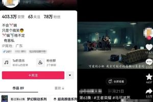 极限反差混剪影视作品项目，超级火爆的疯狂玩法