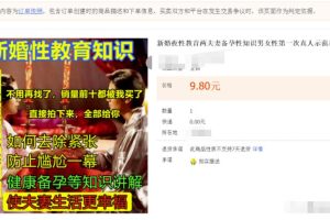 淘宝卖新婚夜攻略，每天变现500-1000！玩法分享给你，附选品+操作思路！