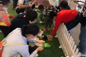 山东小伙做创意冷门生意，几毛成本10倍利润，很适合中老年操作！