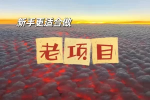 做老项目，才是最赚钱的