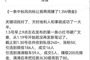 一单能赚100块，两个星期赚了大几千