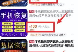 虚拟服务项目，可长期操作，日赚500+