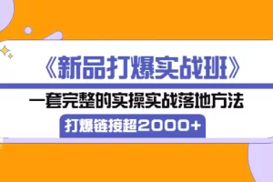 《新品打爆实战班》一套完整的实操实战落地方法，打爆链接超2000+（38节课)
