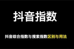做抖音关键词综合排名，综合指数与搜索指数以哪个为准
