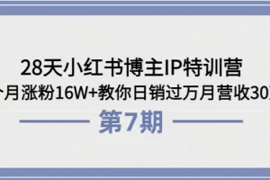 28天小红书博主IP特训营《第6+7期》4个月涨粉16W+教你日销过万月营收30万