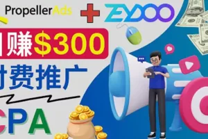 通过CPA推广平台Zeydoo日赚300美元：CPA Offer 付费推广方法！
