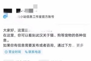 不用引流，一天赚1000+，很简单的闷声搞钱路子