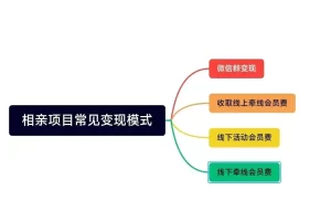 对同城相亲项目的一些看法和建议