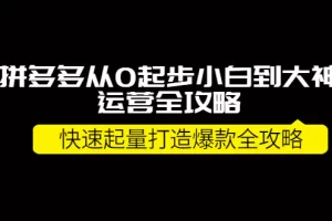 拼多多从0起步小白到大神运营全攻略，快速起量打造10W+爆款全攻略！ 实操项目 3小时前 0 381 28.9