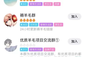 一个经久不衰的项目