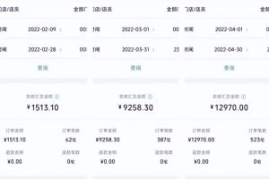 特别适合新手的小项目：资料号引流月变现1W+