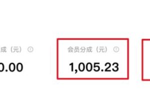 无脑搬运百度墨斗鱼知识店铺，日入300的稳赚野路子