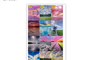 日入300的稳赚野路子