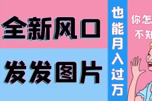 抖音头像号变现0基础教程：全新风口，发发图片也能变现月入10000+