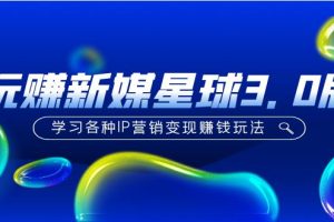 《玩赚新媒星球3.0版》学习各种IP营销变现赚钱玩法（价值498）