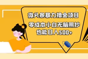 人人都能操作的微头条最新暴力撸金项目，零成本小白无脑搬运也能日入500+
