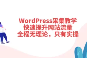 WordPress采集教学，快速提升网站流量：全程无理论，只有实操