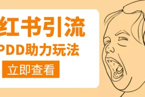 利用小红书卖拼多多助力，日赚100+，顺便还能引个流【视频课程】