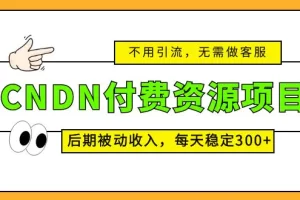 CSDN付费资源项目，不用引流，无需做客服，后期被动收入