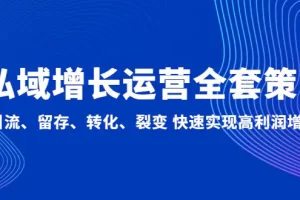 私域增长运营全套策略：引流、留存、转化、裂变 快速实现高利润增长