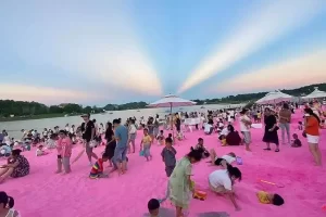 这个不起眼暴利小生意，一天收入2000多块