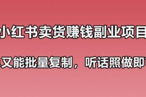 小红书卖货赚钱副业笔记：既简单又能批量复制，只要听话照做就可以赚钱！
