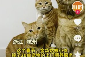 同城副业，日赚800块，有点累但是很赚钱！