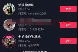 [网赚项目] 年入千万偏门路子—流浪狗救助！