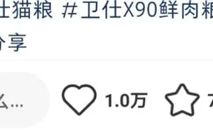 小红书3大热门领域爆款创作套路