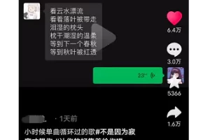 一单9.9元，日赚500多块