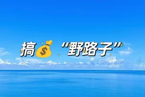 适合普通人搞钱的“野路子”