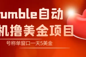 外面收费3888的rumble撸美金项目，号称单窗口一天5美金+【脚本+教程】