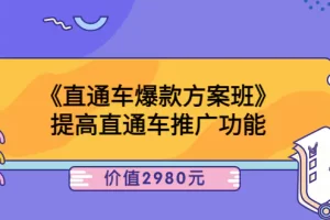 爱上黄昏《直通车爆款方案班》提高直通车推广功能：价值2980元