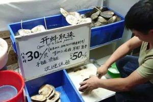 开蚌取珍珠玩法套路，一月搞百万路子！
