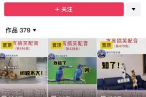 爆火的方言搬砖项目，闷声发大财2023生意经！