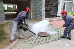 一年收入40万元！投资仅需1000元，真正的冷门暴利赚钱项目