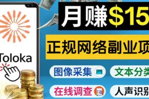 正规网络副业赚钱平台Toloka，利用业余时间月赚150美元