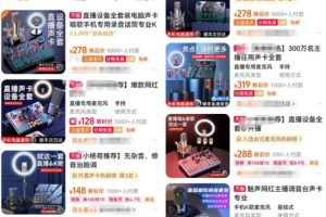 语聊副业项目全流程拆解，可以团队搭建的副业！无私分享给你！