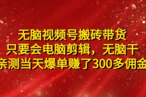 无脑视频号搬砖带货，只要会电脑剪辑，无脑干，亲测当天爆单赚了300多佣金