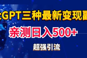 实操日入500+的CGPT三种变现副业：有手就行的暴力引流【教程+源码】