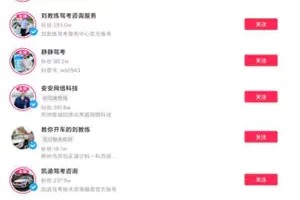 暴力项目，有人靠他已经赚了100w