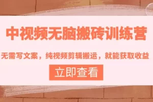 中视频无脑搬砖训练营：无需写文案，纯视频剪辑搬运，就能获取收益！