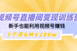视频号直播间变现训练营：新手也能利用视频号赚钱，5个月GMV200w