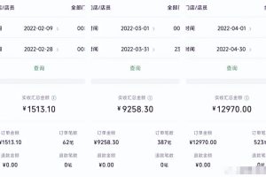 特别适合新手的实操项目，资料号引流实操变现